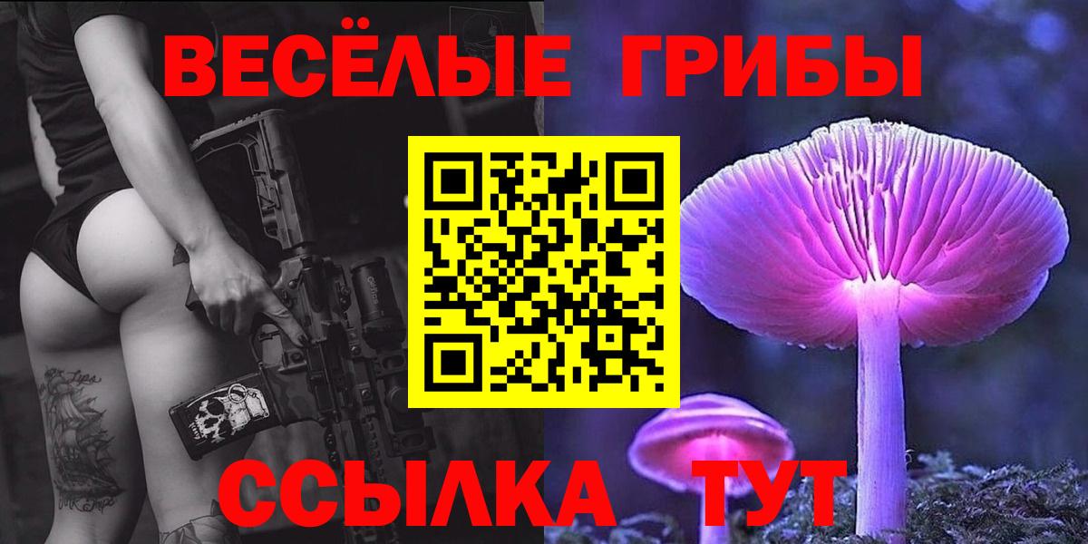 Псилоцибиновые грибы прущие грибы Гурьевск
