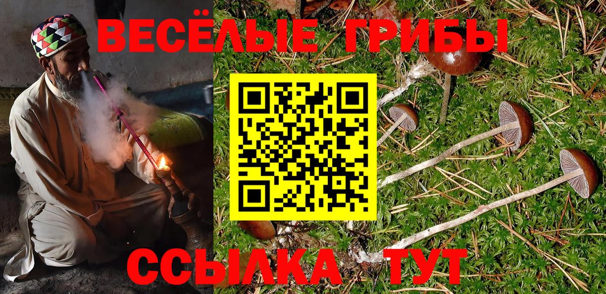 Псилоцибиновые грибы GOLDEN TEACHER  купить  цена  Галлюциногенные грибы Psilocybe  Гурьевск  Вход с VPN 